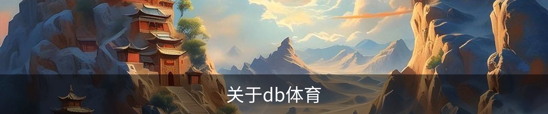 关于db体育